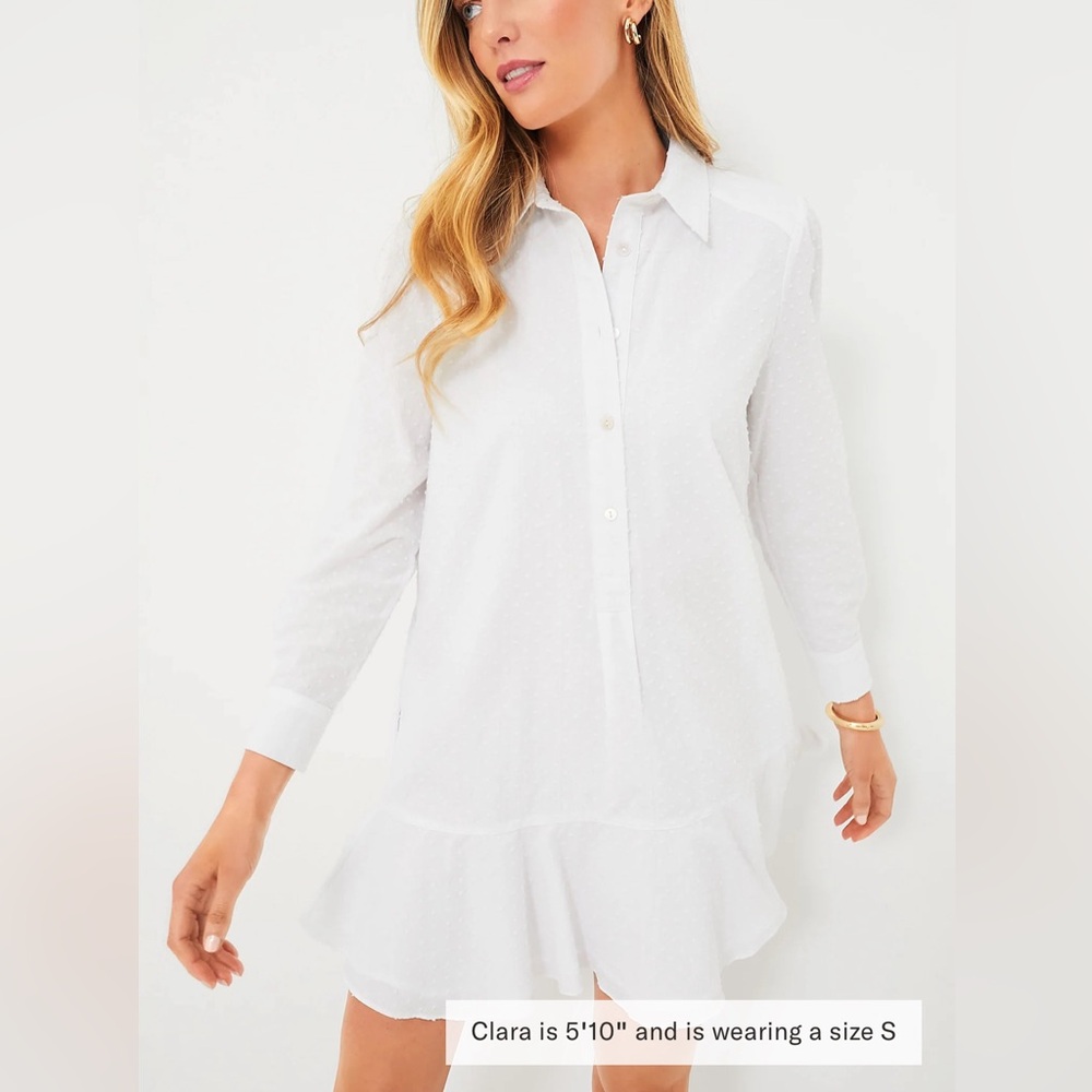 Tuckernuck NWT swiss dot callahan shirt dress size Small